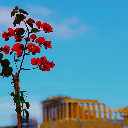 Absolute Athens Acropolis View-3